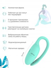 MAGIC KEGEL REJUVE Тренажер Кегеля