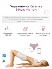 Вибратор-тренажер Кегеля Flamingo Magic Motion управляемый со смартфона